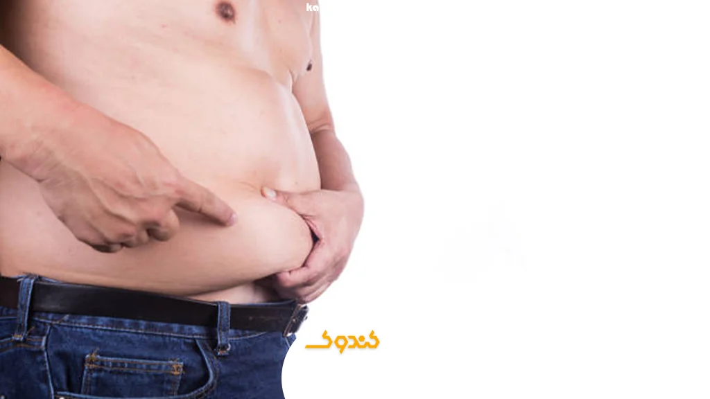 چربی شکمی چگونه تستوسترون را به استروژن تبدیل می‌کند؟