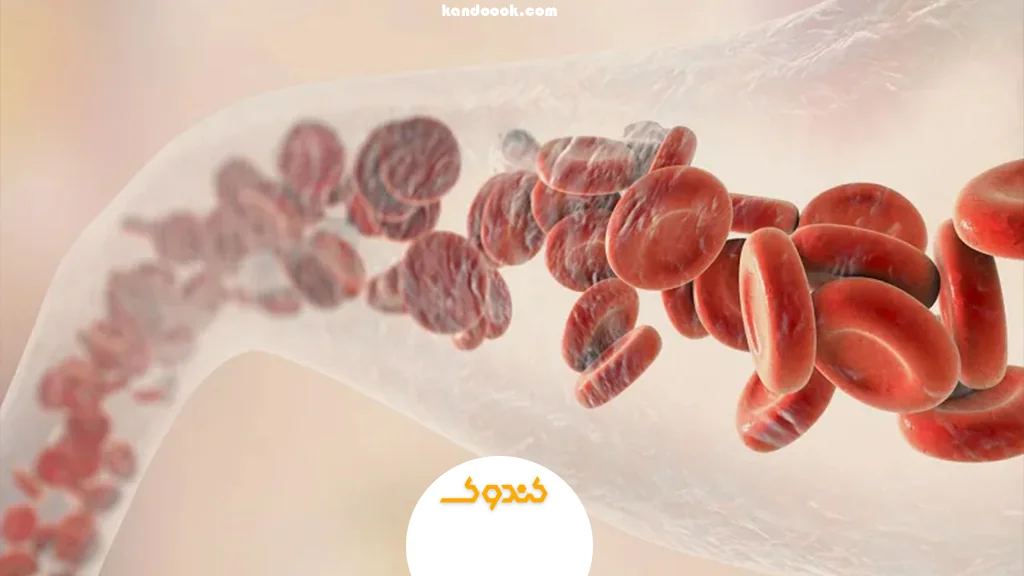 بهبود جریان خون در اندام‌های تولیدمثل