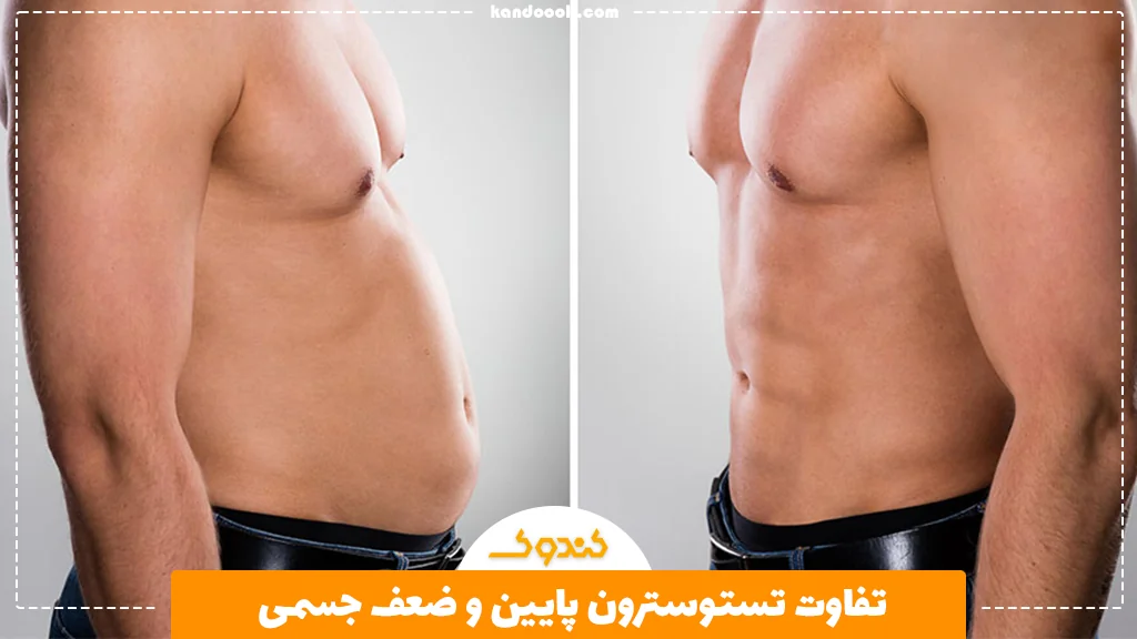 تفاوت تستوسترون پایین و ضعف جسمی