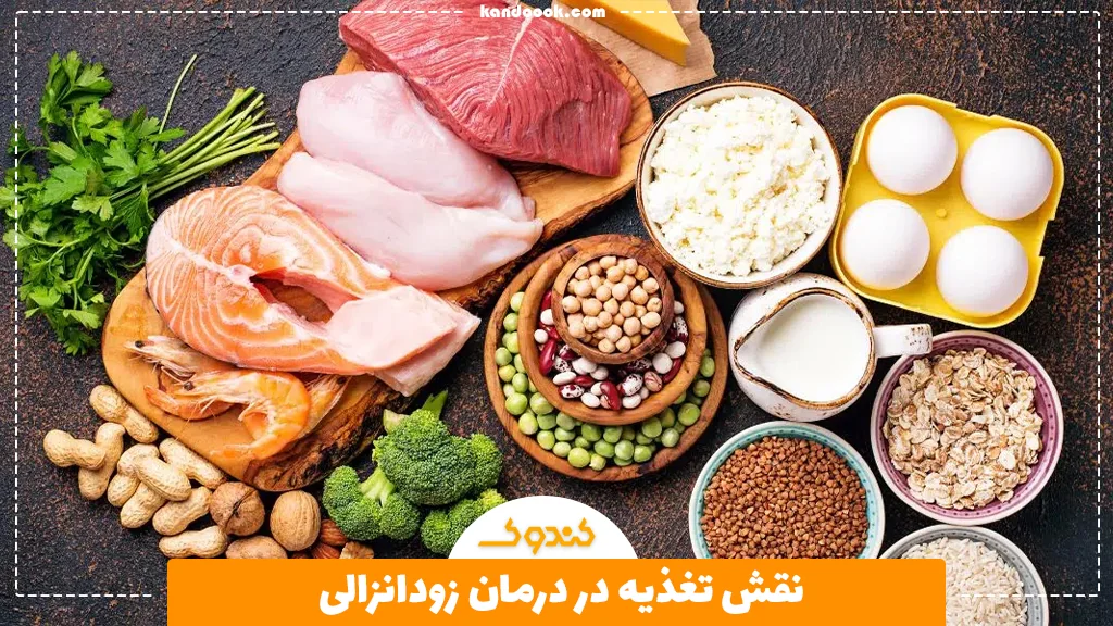 نقش تغذیه در درمان زودانزالی