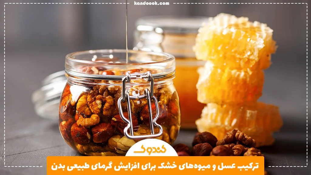 ترکیب عسل و میوه‌های خشک برای افزایش گرمای طبیعی بدن