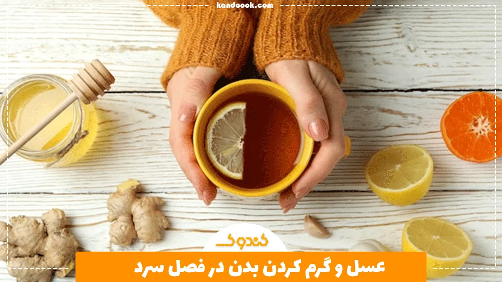 عسل و گرم کردن بدن در فصل سرد