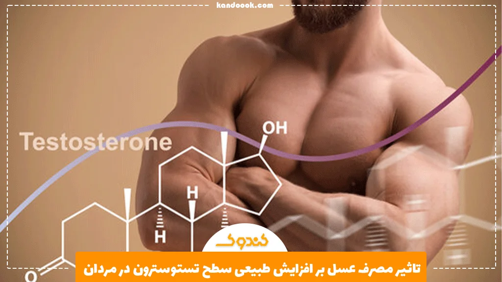 تاثیر مصرف عسل بر افزایش طبیعی سطح تستوسترون در مردان