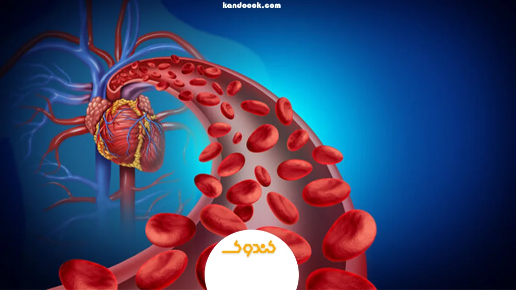 نقش عسل در افزایش حرارت درونی و بهبود گردش خون