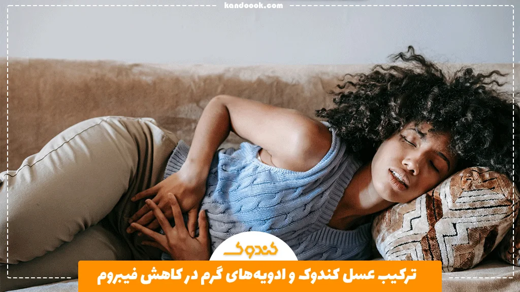 ترکیب عسل کندوک و ادویه‌های گرم در کاهش فیبروم