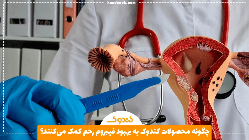 چگونه محصولات کندوک به بهبود فیبروم رحم کمک می‌کنند؟