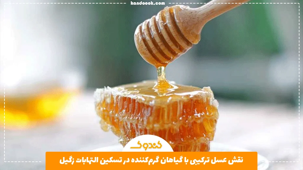 نقش عسل ترکیبی با گیاهان گرم‌کننده در تسکین التهابات زگیل