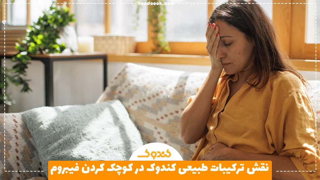 نقش ترکیبات طبیعی کندوک در کوچک کردن فیبروم