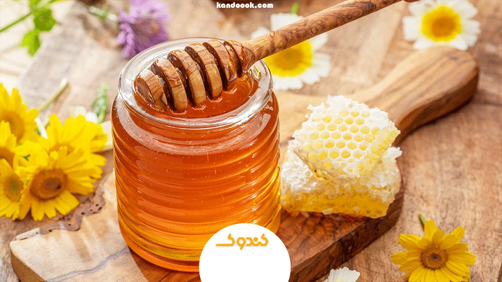 مصرف منظم چه تاثیری روی سبک زندگی سالم دارد؟