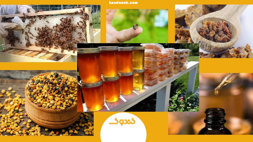 فرآوردههای زنبور عسل چه اهمیتی دارند؟